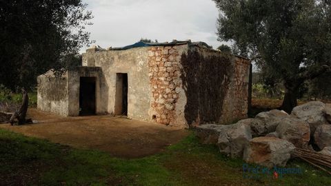 Lamia in the cauntryside of Ceglie Messapica for sale. Lamia entirely in stone sited on a beautiful flat land. It is made of barrel vaults and fire place and little storage room. The adjacent plot of land is cultivated with centuries-olivegroves Loca...
