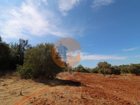 Seize the opportunity to own a remarkable rustic land in the serene location of Vale de Éguas, Almancil. This spacious plot measuring 4600 square meters offers a realm of possibilities, allowing you to turn your dreams into reality. Situated in the p...