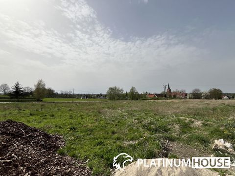 Such an offer only at Platinum House! Platinum House real estate office offers for sale a plot of land in Złotnik - 8km north-east of Żary. The plot of land with an area of 2538m2 is located in Złotnik, in a peaceful and quiet area. Access to the pro...