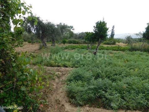 Detached land with 7510m². Location near Alpedrinha. Highlight for the own water (well) and for the fertile soil and with culture. It also has good access and mountain views.