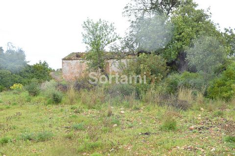 Excellent investment opportunity, just minutes from Santa Barbara de Nexe Plot of land for construction with a total area of 12,340 m2 and an approved project with a construction area of 450 m2, for commerce and services The land has a ruin and is si...