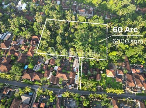 Welcome to an exceptional opportunity to own a piece of paradise in the prestigious enclave of Ubud Sayan, where the natural beauty of Bali’s lush landscapes meets the allure of luxury living. Presenting a rare offering of leasehold land spanning 600...