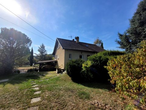 photo no. 6