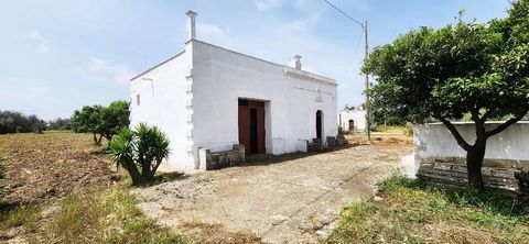 Discover a unique opportunity to immerse yourself in the peace of the Apulian countryside with this particular property located a short distance from the historic town of Oria. For sale is an agricultural plot of 8,639 sqm that includes a characteris...