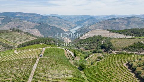 The sale of a magnificent vineyard in the Douro Valley Wine Region's plateau. Official DOC Douro vineyard structure and mechanisation with approximately 2ha , producing red grape varieties Touriga Nacional, Touriga Franca, Tinta Roriz, Souso, and Old...
