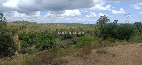 Se vende estupendo terreno rústico, en São Bartolomeu de Messines. Este terreno está ubicado en una zona muy agradable, con impresionantes vistas a la montaña. El terreno tiene una superficie de 1962 m2, con acceso mediante camino de tierra al terren...