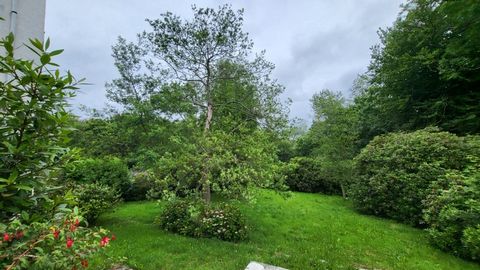 photo no. 1
