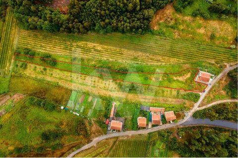 Das Grundstück mit 3780 m2 befindet sich in der Nähe des Zentrums von Parada de Todeia und des Bahnhofs, da es sich jedoch um eine Nebenstraße handelt, profitiert es von viel Ruhe. Aufgrund seiner Größe und Eigenschaften ermöglicht es den Bau eines e...