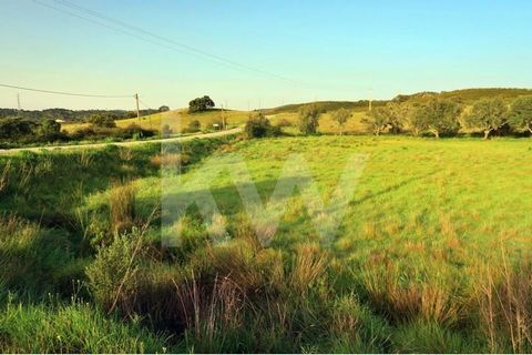 Terrain rustique de 2880 m2 situé à Ribeira de Arade, São Bartolomeu de Messines avec vue panoramique sur la campagne. Terrain arable plat avec une bonne exposition au soleil. Distribution réseau électrique à proximité. Excellent accès par route goud...