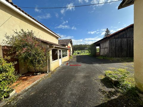 photo no. 17