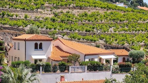 Destination incontournable des peintres soucieux d'immortaliser sa lumière, COLLIOURE est sans aucun doute la perle de notre littoral et la fierté des catalans. La villa que nous avons le plaisir d'y commercialiser se situe sur les hauteurs du bourg ...