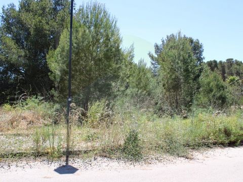 Städtisches Grundstück mit 500m² in der Nähe des Strandes 'Cabanas Velhas' und 2 Minuten vom Fischerdorf Burgau entfernt. Es ermöglicht den Bau einer Villa mit einer Bruttobaufläche von bis zu 220m², mit zwei Etagen und Schwimmbad. Umgeben von Landsc...