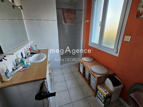 photo no. 9