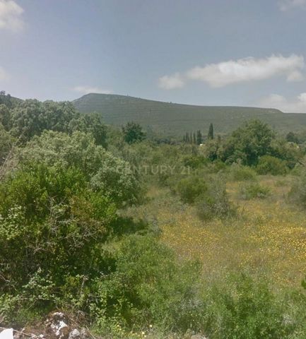 Terreno rústico agrícola para cultivo com olival. Propício para a observação de javalis. 2200 15m frente estrada Alcaria, Porto de mós Porquê vender ou comprar com a CENTURY 21 Porque com a CENTURY 21, dada a sua estrutura de Staff altamente especial...