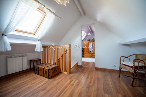 photo no. 12