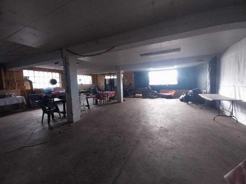 photo no. 6