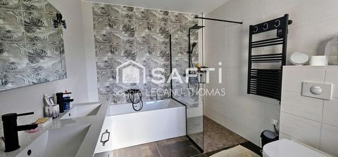photo no. 9
