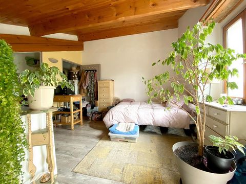 photo no. 10