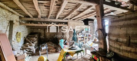 photo no. 11