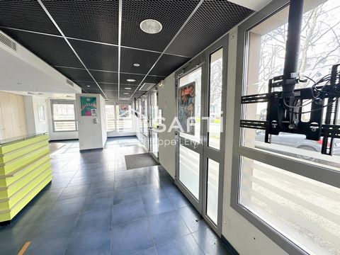 photo no. 6