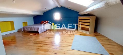 photo no. 12