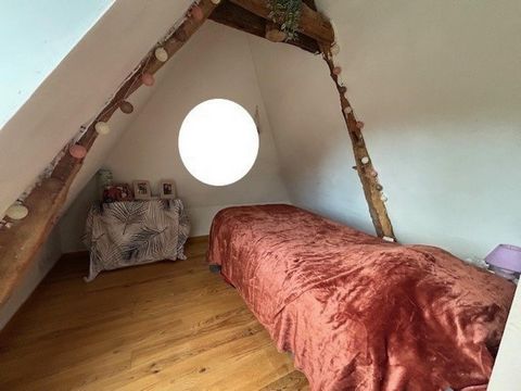 photo no. 10