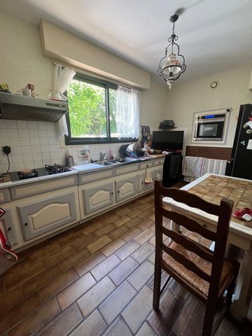 photo no. 8
