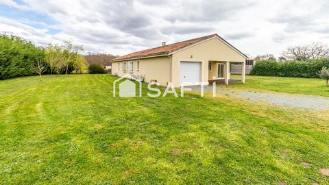 photo no. 13