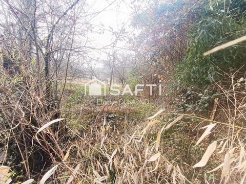 photo no. 13
