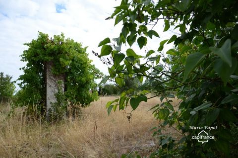 photo no. 2