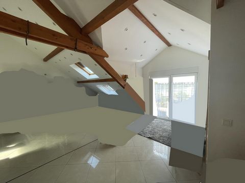photo no. 19