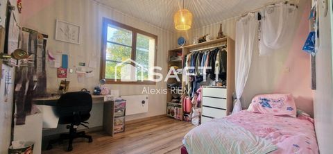 photo no. 17