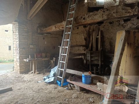 photo no. 7