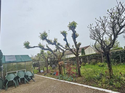 photo no. 5
