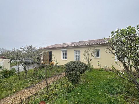 photo no. 7