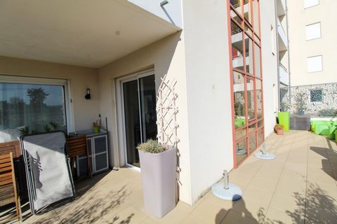 photo no. 11