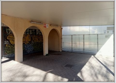 photo no. 2