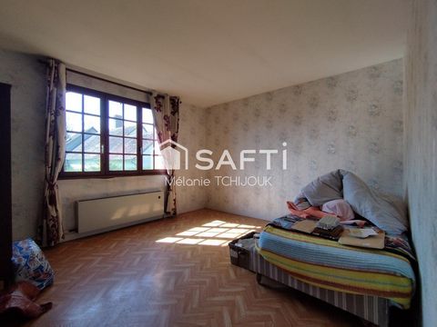 photo no. 6