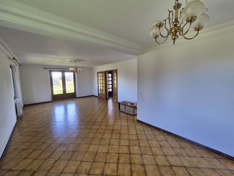 photo no. 4