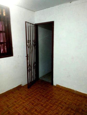 photo no. 2