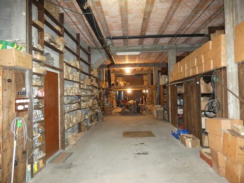 photo no. 9