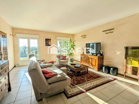 photo no. 12