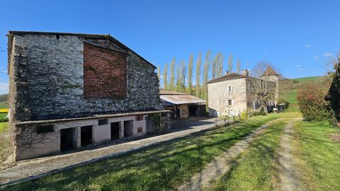 photo no. 23