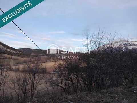 photo no. 12