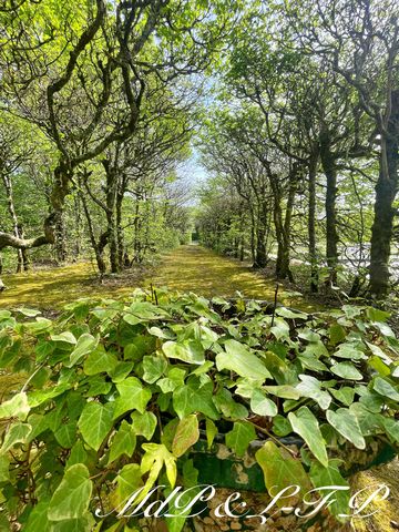 photo no. 2