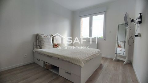 photo no. 6