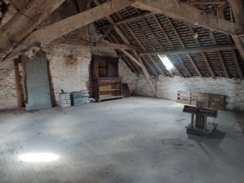 photo no. 8