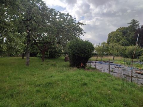 photo no. 10