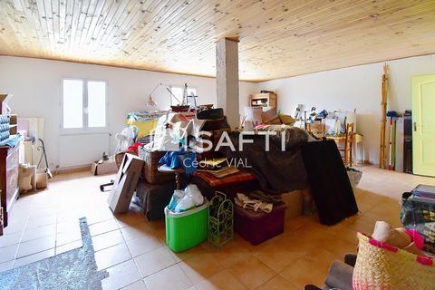 photo no. 12