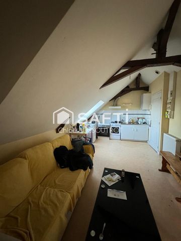 photo no. 11